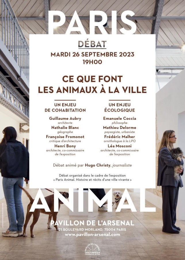 Ce que font les animaux à la ville