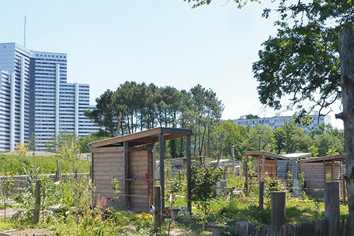 Le temps du paysage ? | Expérience(s) de paysage | Cycles en cours ...
