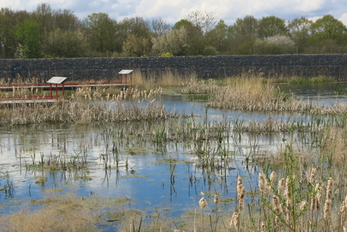 Projets de campagne | Expérience(s) de paysage | Cycles en cours ...