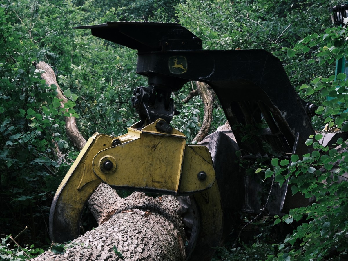 Ressources - Filmer la matière, révéler les savoir-faire