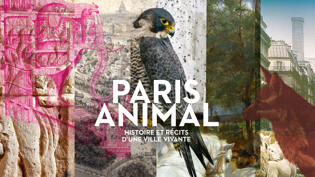 Paris Animal Expositions Pavillon de l'Arsenal