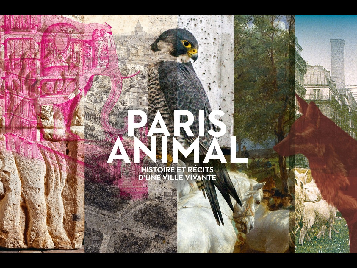 Paris Animal. History and Tales of a Living City.