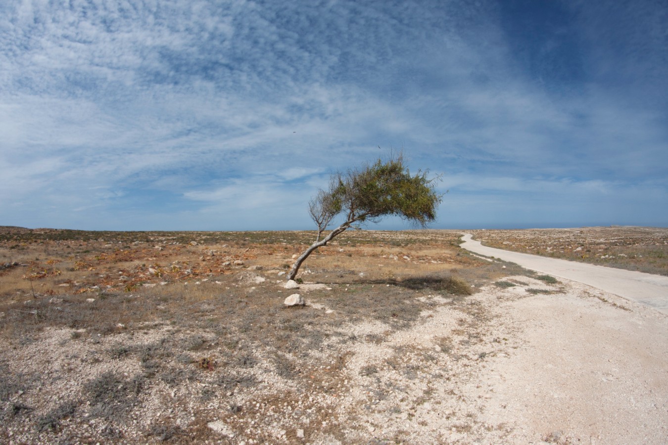 Lampedusa