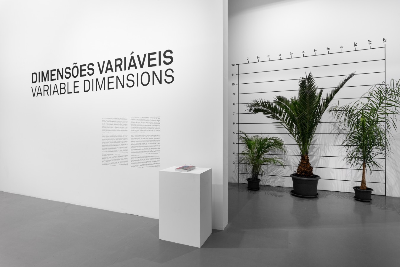 'Variable Dimensions, Artists and Architecture' - Exhibition view, MAAT, Lisbon, 2017