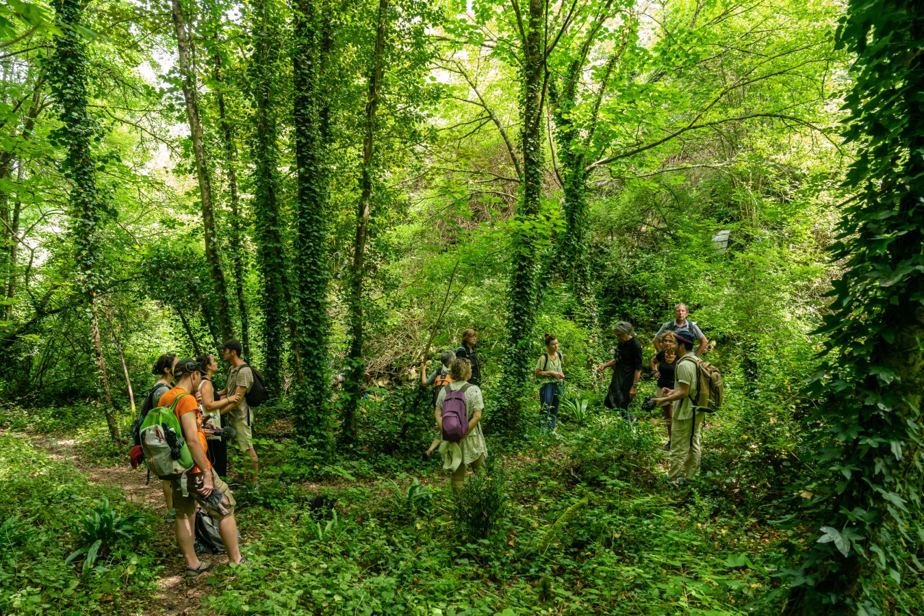 The art of metropolitan trails in Angoulême