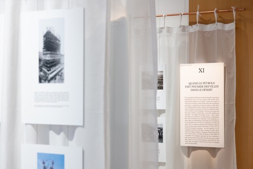 Natural History of Architecture in Lyon