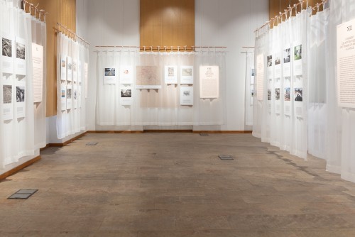 Natural History of Architecture in Lyon