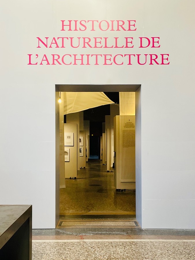 Histoire Naturelle de l'Architecture à Grenoble
