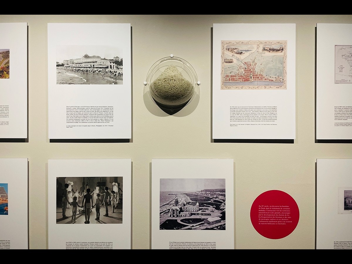 Histoire Naturelle de l'Architecture à Grenoble