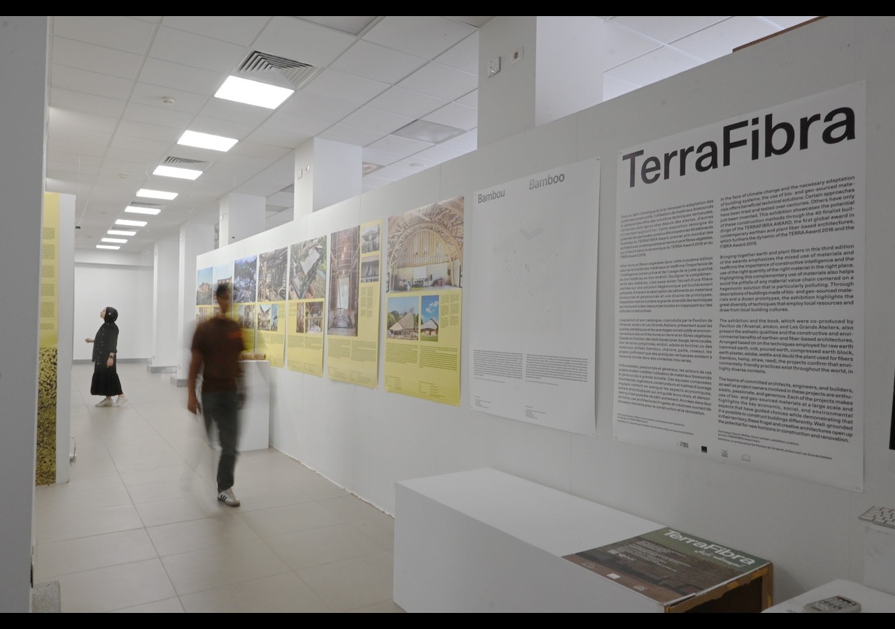 TerraFibra architectures en Égypte