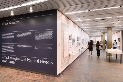 Natures urbaines à Cambridge