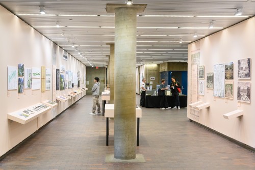 Natures urbaines à Cambridge