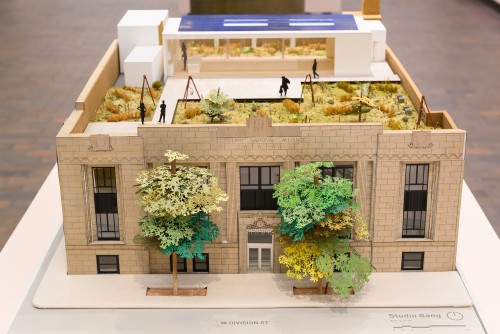 Natures urbaines à Cambridge