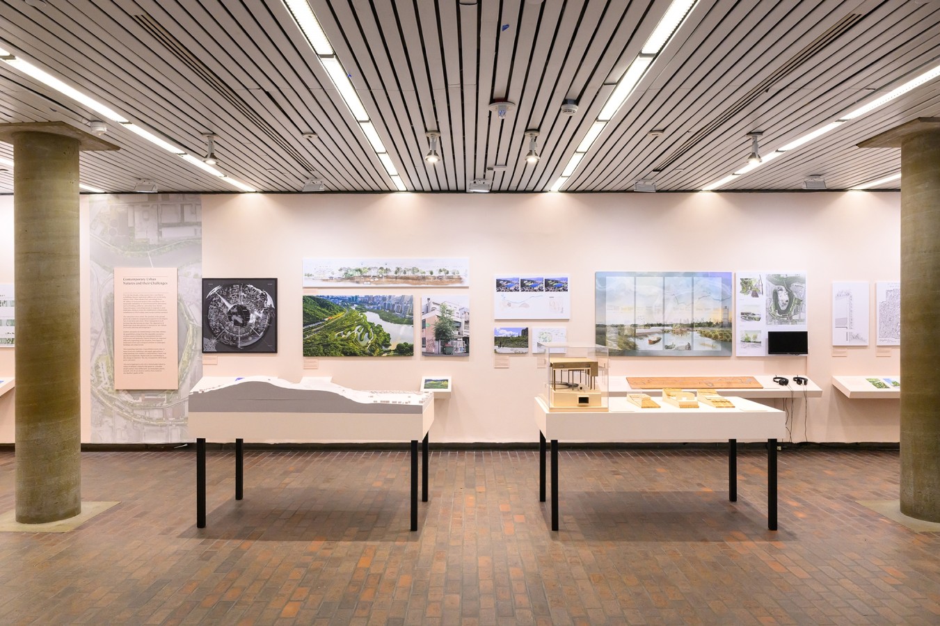 Natures urbaines à Cambridge