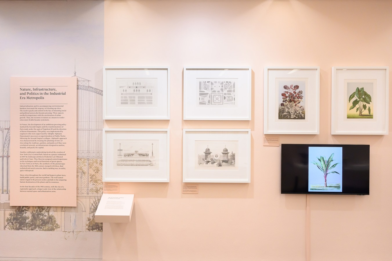 Natures urbaines à Cambridge