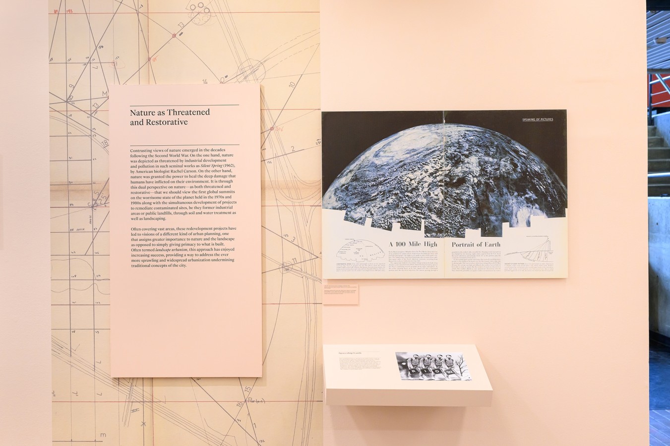 Natures urbaines à Cambridge