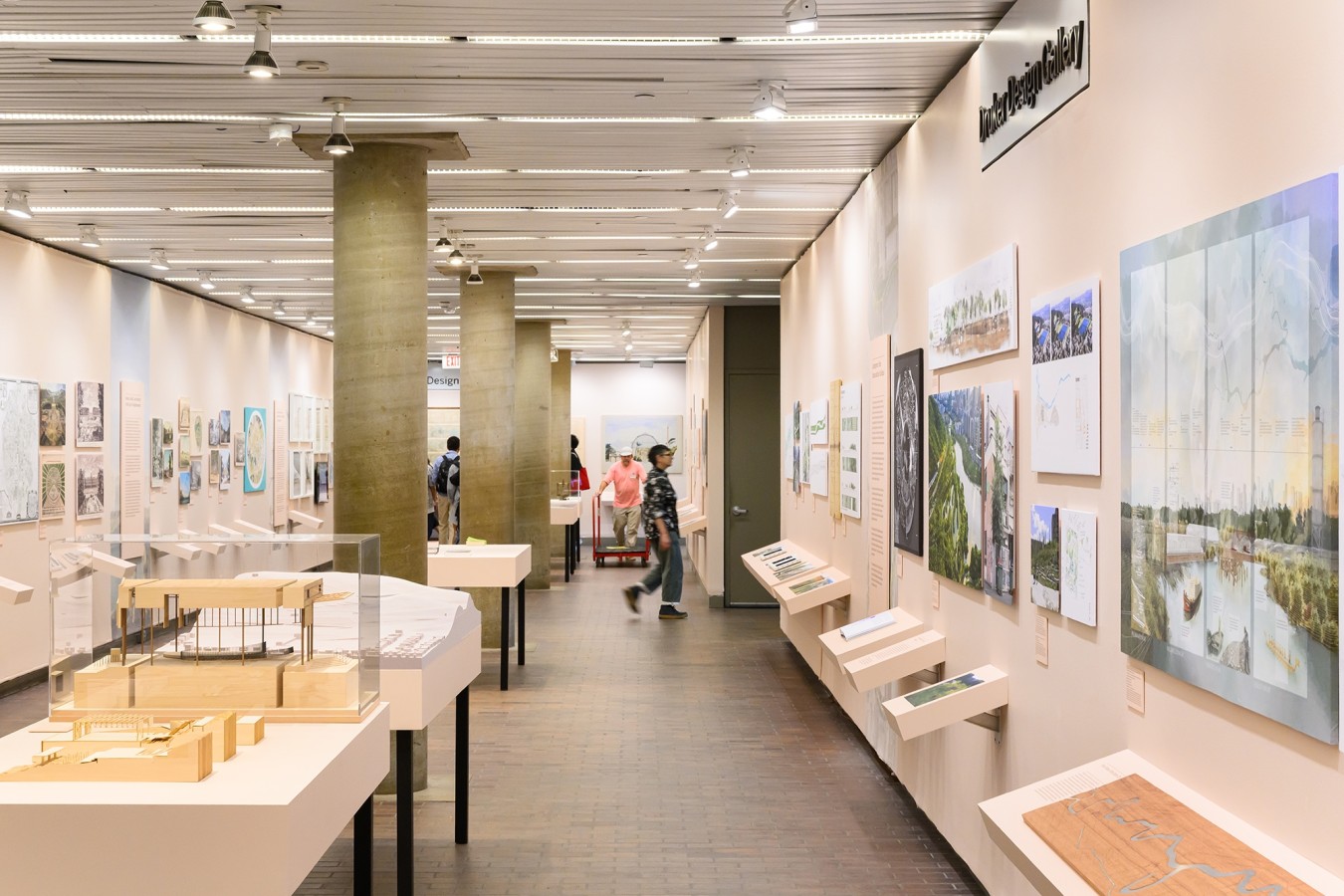 Natures urbaines à Cambridge