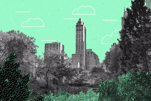 Comment un brin de menthe est à l'origine de Central Park ?